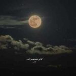 دانلود آهنگ هایده به نام عاشقی (هوش مصنوعی)